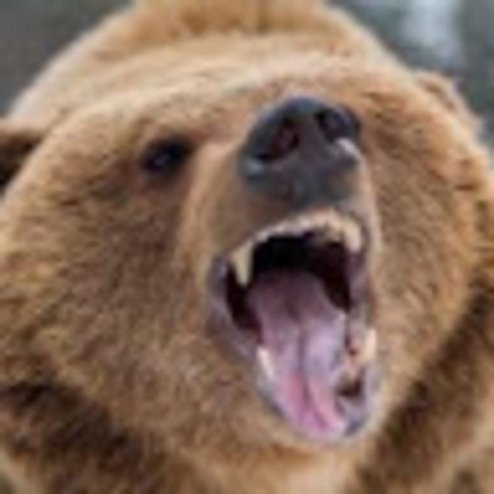 Meet your Posher, Avery